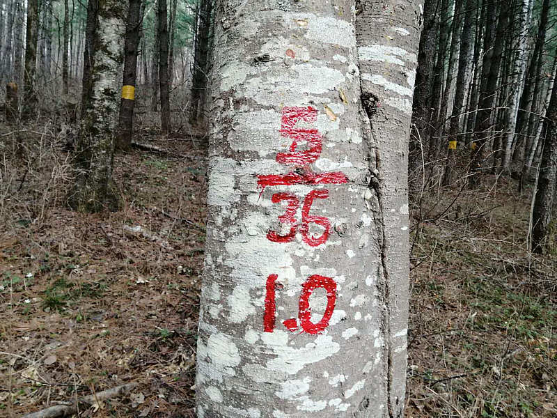微信圖片_20200421153656.jpg